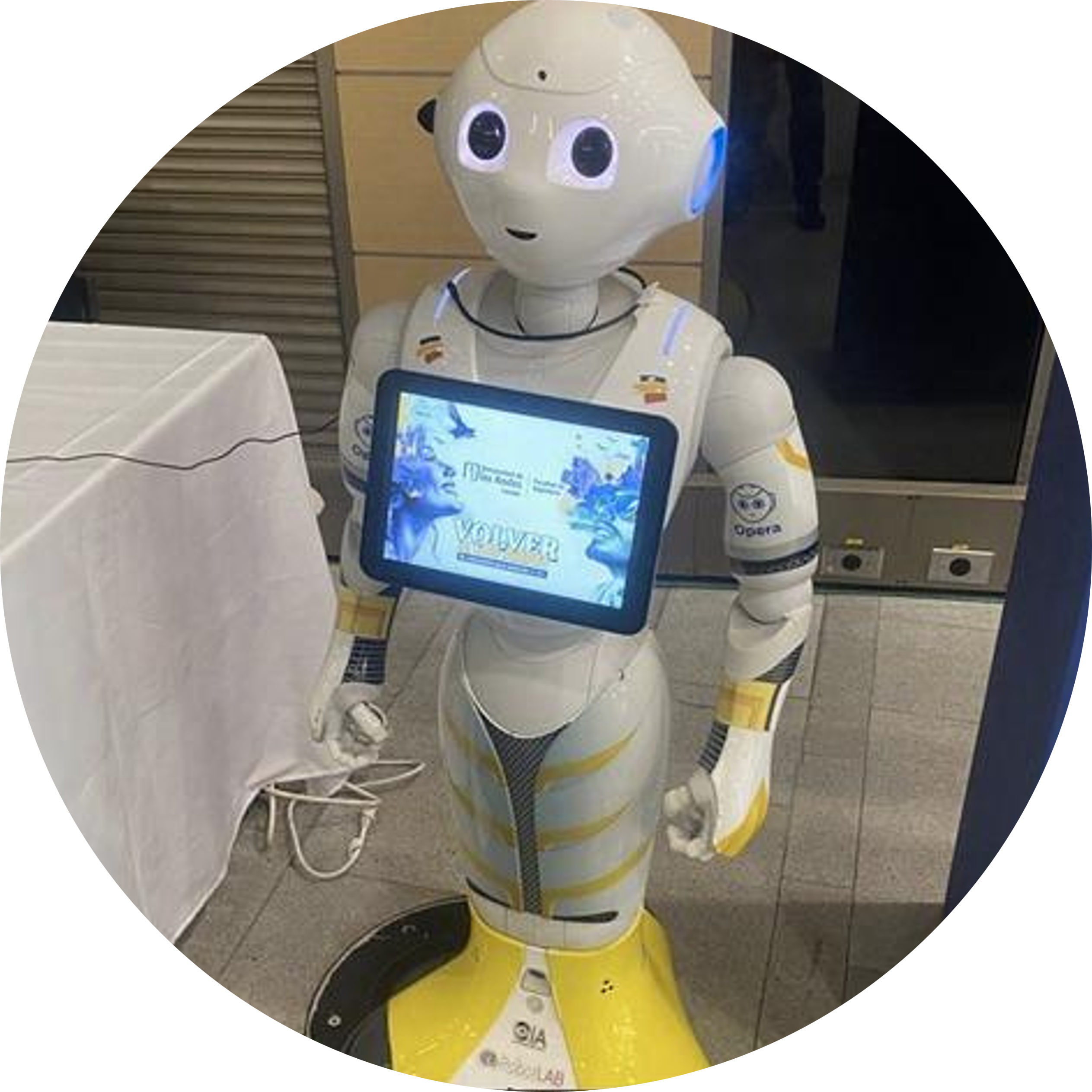 EDUBOT – Agente educativo
